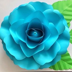 Meet your Posher, Paula